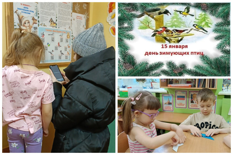 День зимующих птиц День зимующих птиц.